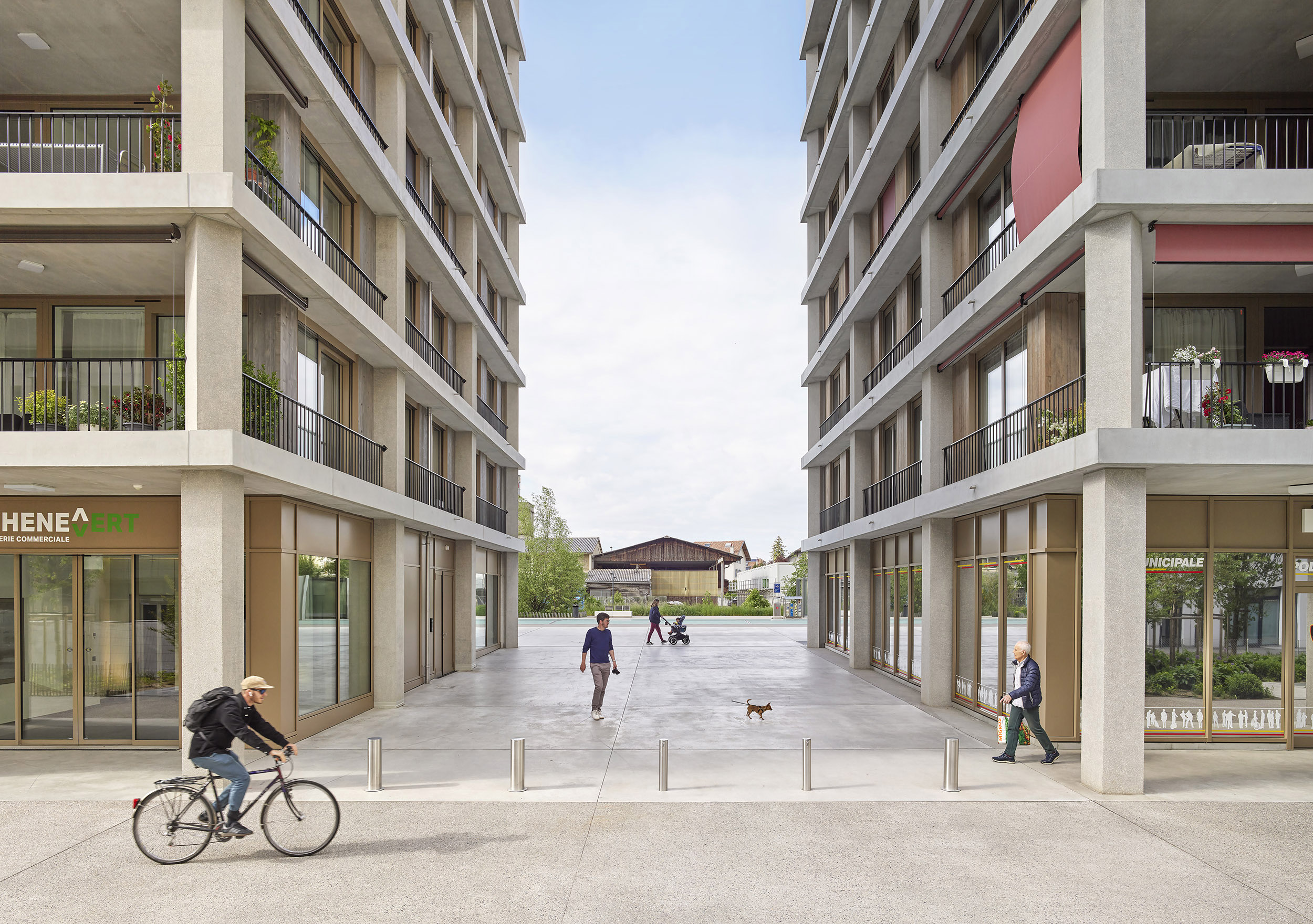 Cédric Widmer Photography 4